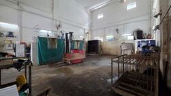 West Spring (D22), Factory #516400341